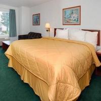 Hotel Comfort & Suites-portland Airport 3*